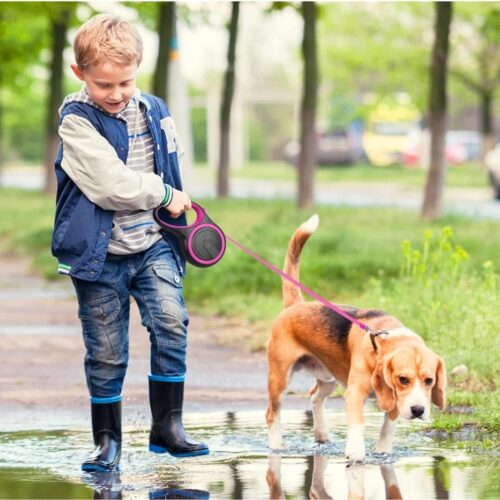 Kisállat flexi automata póráz-3m