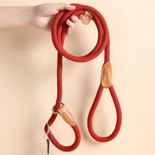 2024070513435015 Kiképzési retriever póráz