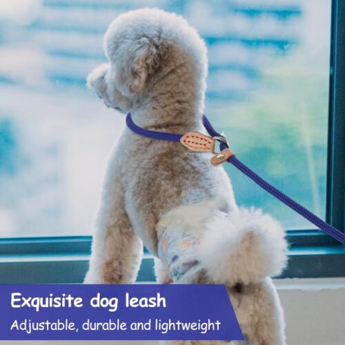 Kiképzési retriever póráz Kiképzési retriever póráz