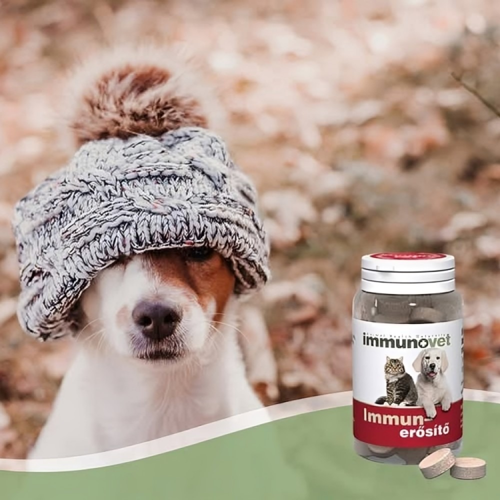 ImmunoVet Pets új generációs immunerősítő tabletta-30db