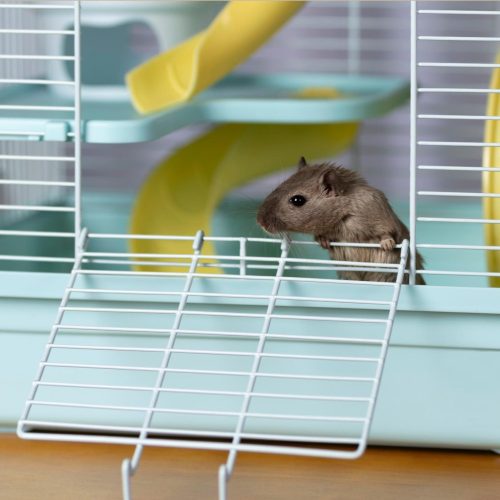 Prémium komplett hörcsög ketrec több színben - 40x35cm