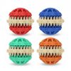 Vaníliás fogtisztító dental labda kutyáknak - 6cm1