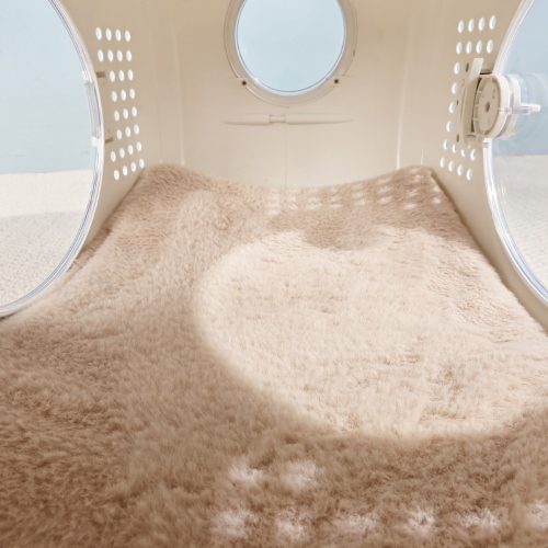 Nunbell Luna kapszula macska szállító (4) Nunbell Luna kapszula macska szállító (4)