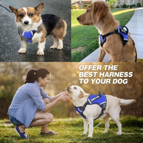 Service Dog fényvisszaverő kutyahám többszínben - L Service Dog fényvisszaverő kutyahám többszínben - L